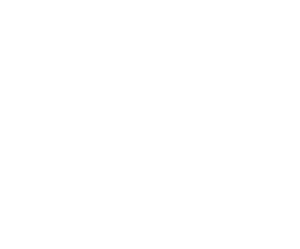 Spend Life Wisely Logo